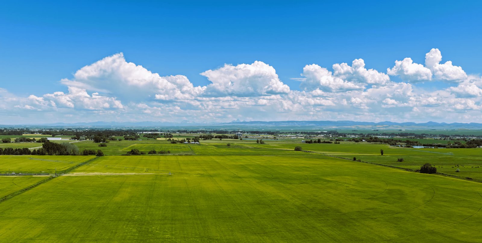 The Withers family ground: green fields under a big Idaho sky, the Tetons on the horizon